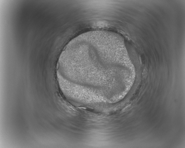 X0000067881153200605041826