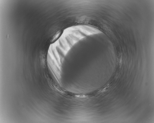 X0000067881154200605041826
