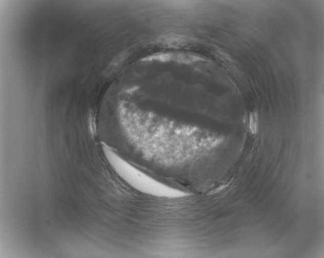 X0000067881155200605041826