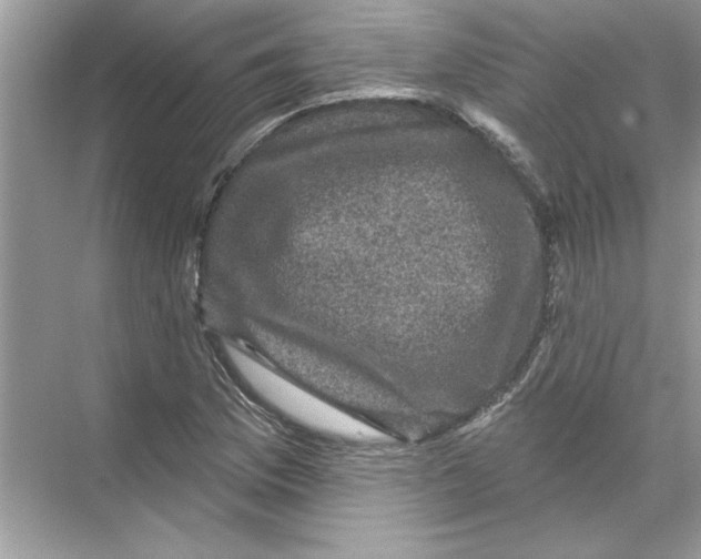 X0000067881169200605041826