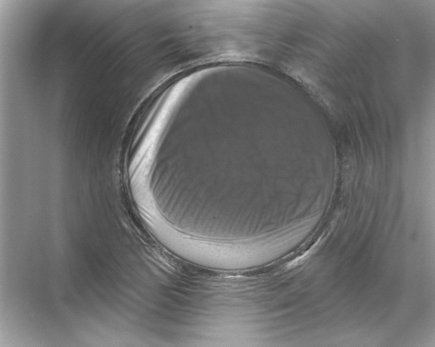 X0000067881170200605041826