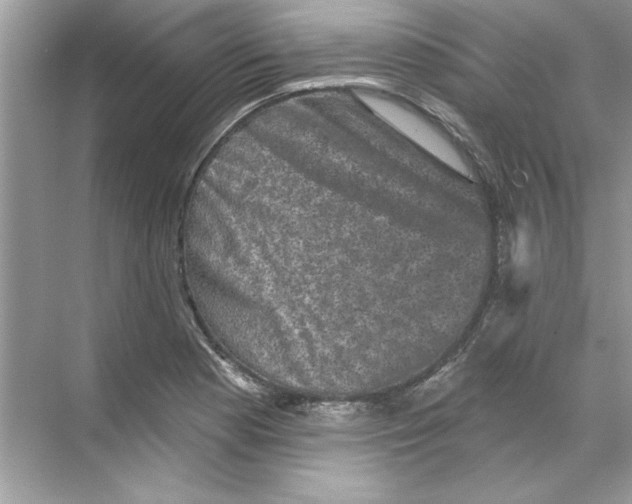 X0000067881177200605041826