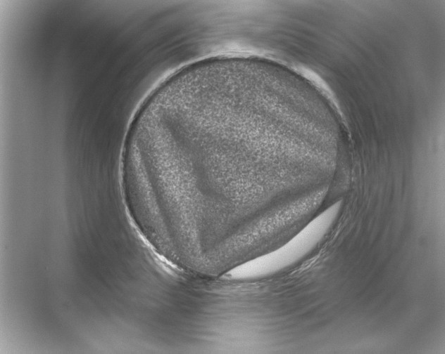 X0000067881183200605041826