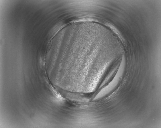 X0000067881193200605041826