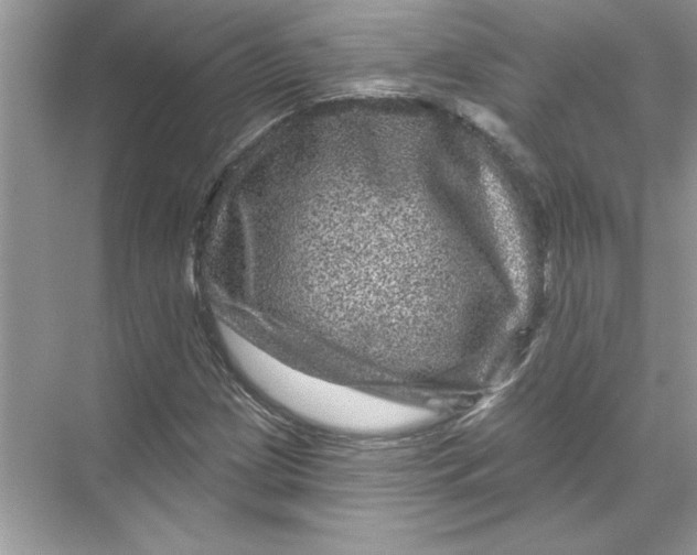 X0000067881209200605041825