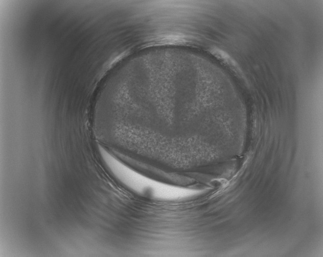 X0000067881210200605041825