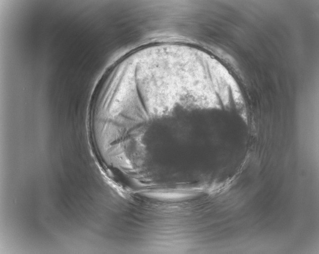 X0000067881231200605041825