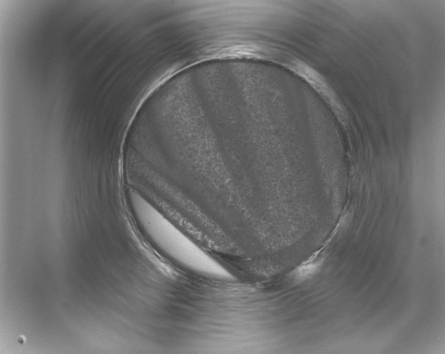 X0000067881234200605041825