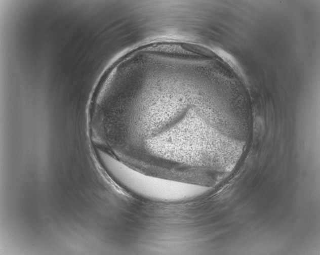 X0000067881238200605041825
