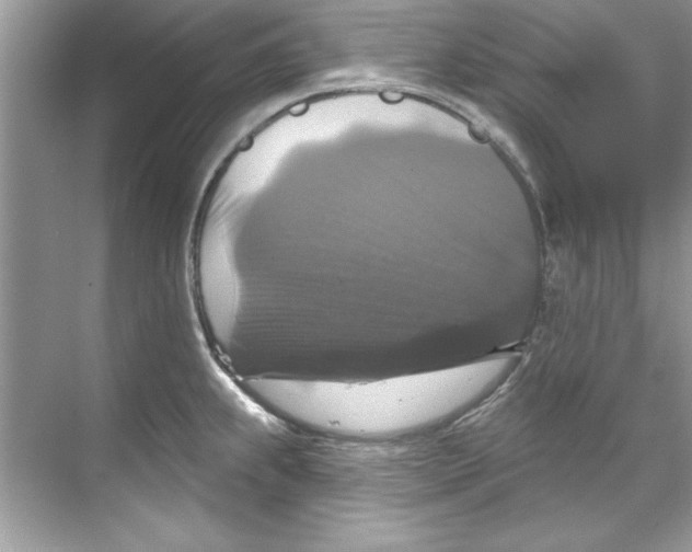 X0000067881239200605041825