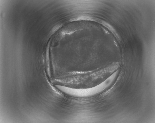 X0000067881241200605041825