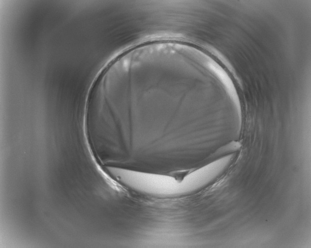 X0000067881245200605041826