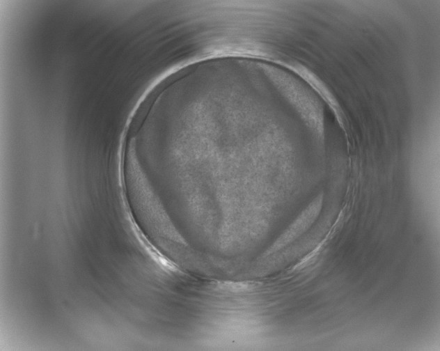 X0000067881246200605041826