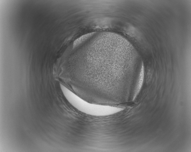 X0000067881250200605041825