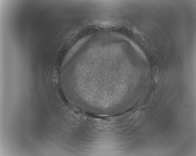 X0000067881253200605041825