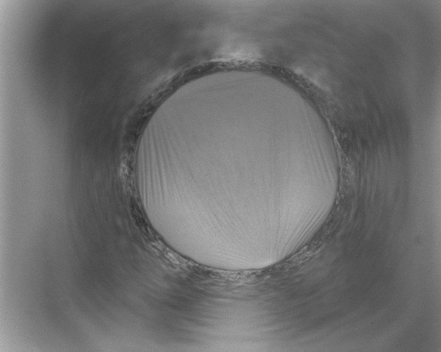 X0000067881254200605041825