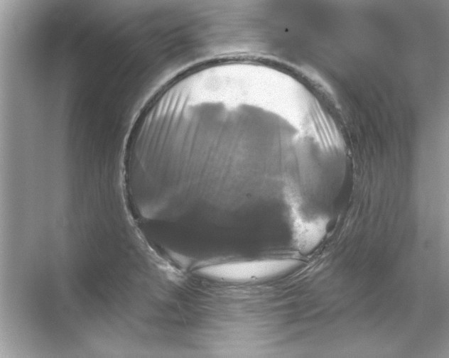 X0000067881279200605041824