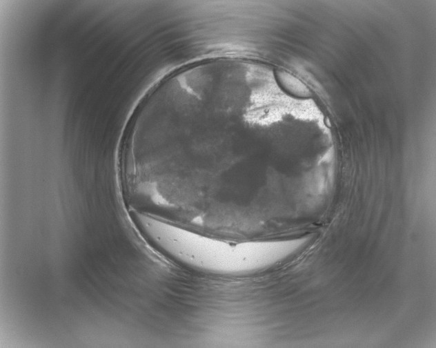 X0000067881283200605041824