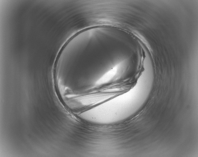 X0000067881291200605041824