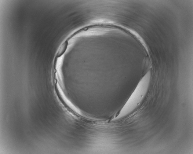 X0000067881295200605041824