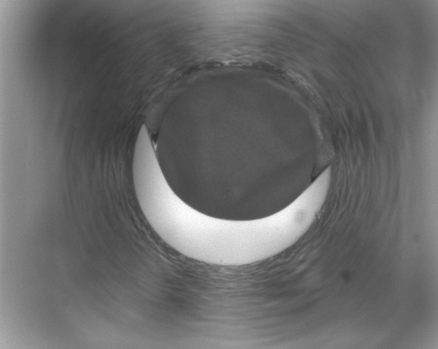 X0000067881298200605041823