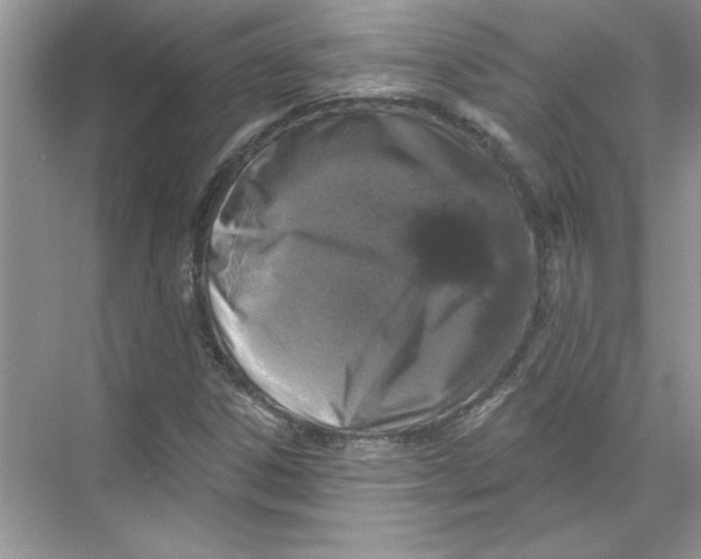 X0000067881306200605041823