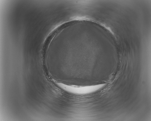 X0000067881311200605041823