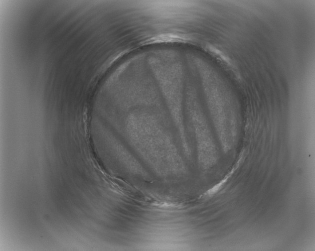 X0000067881313200605041823