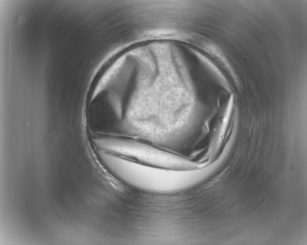 X0000067881328200605041824