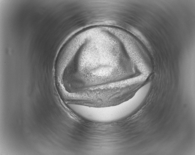 X0000067881332200605041824