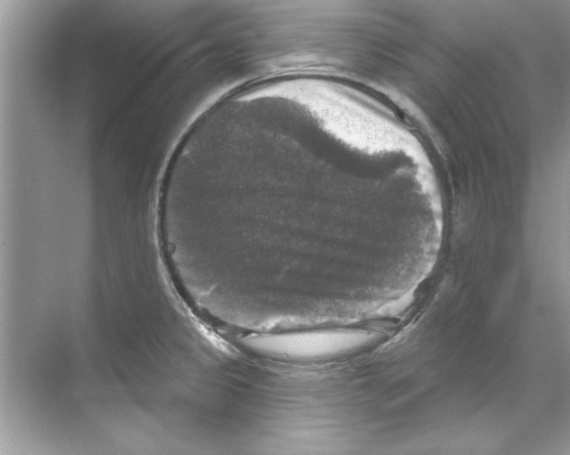 X0000067881333200605041824