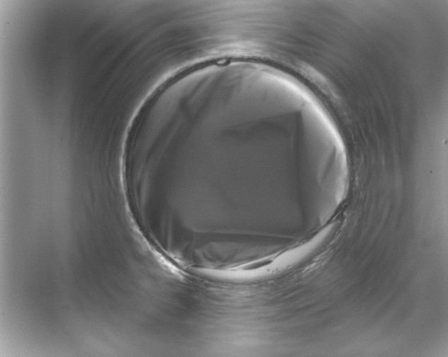X0000067881334200605041824