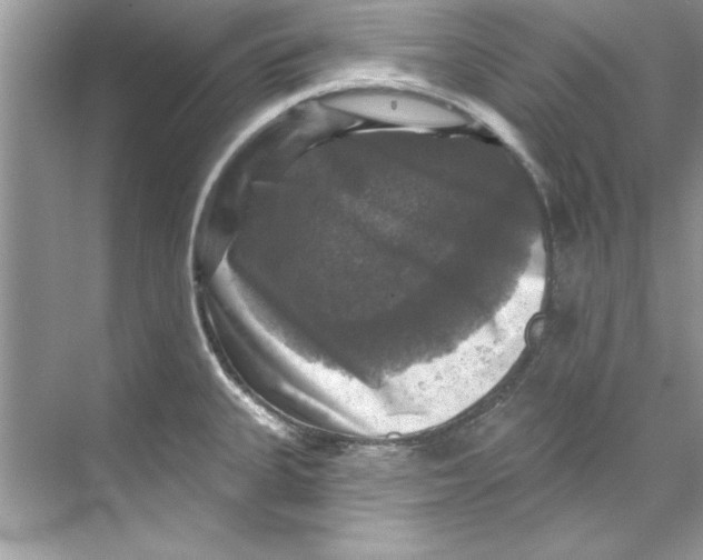 X0000067881335200605041824