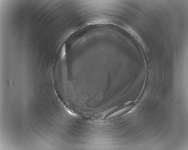 X0000067881337200605041824