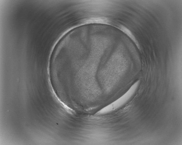 X0000067881339200605041824