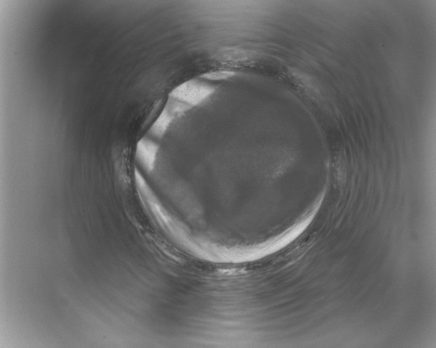 X0000067881346200605041823