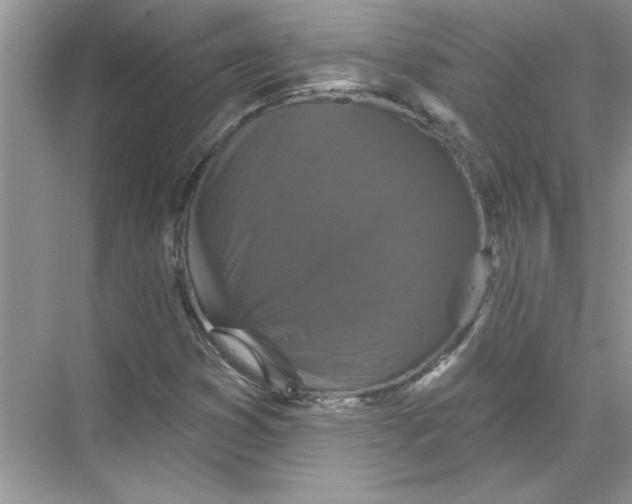 X0000067881353200605041823