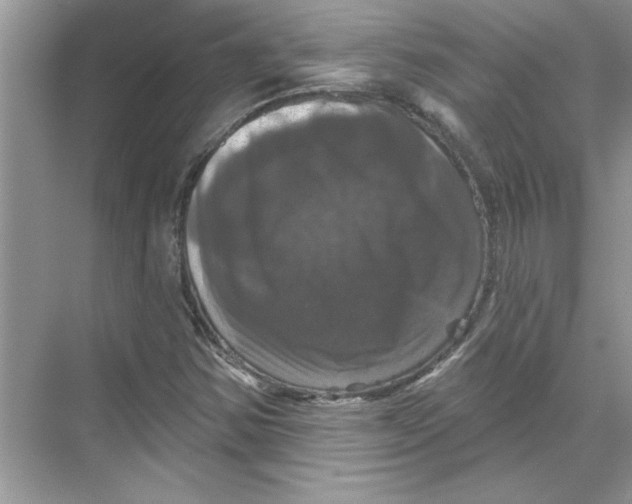 X0000067881354200605041823