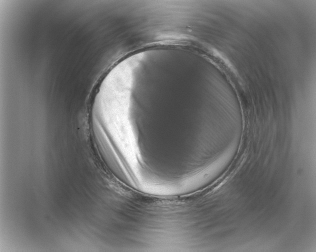 X0000067881362200605041823