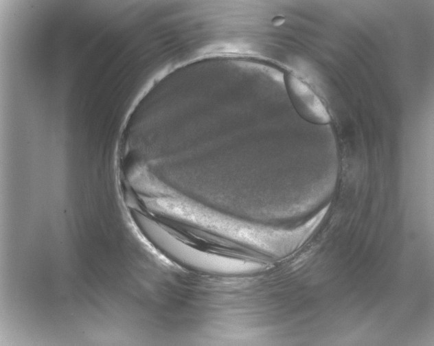 X0000067881382200605041822