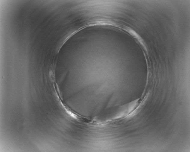 X0000067881385200605041822