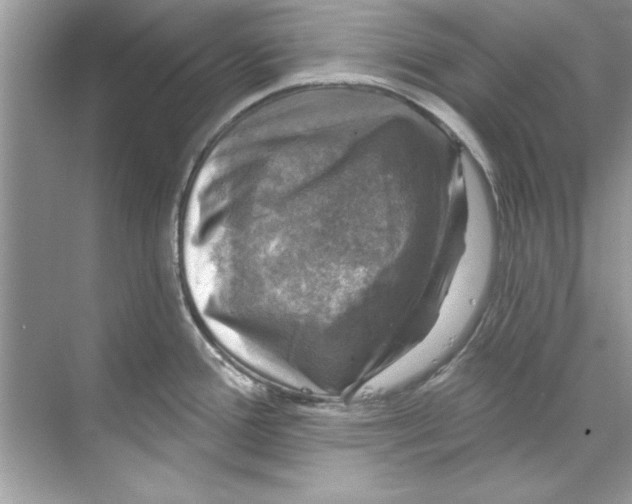 X0000067881388200605041822