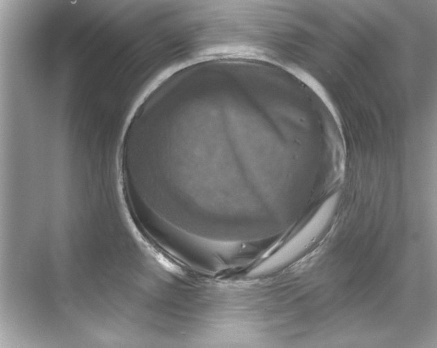 X0000067881389200605041822
