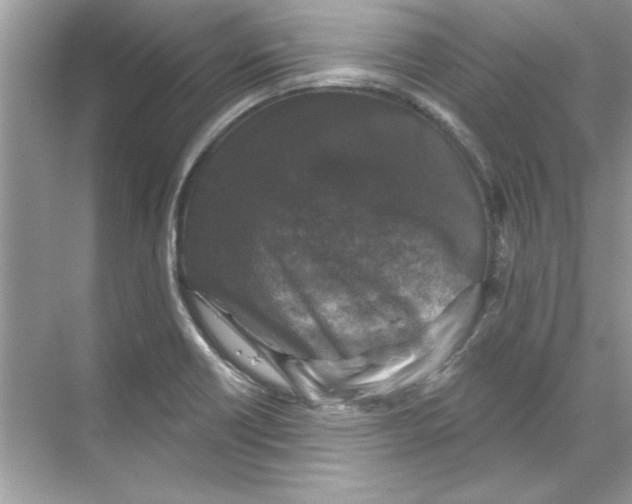 X0000067881418200605041822