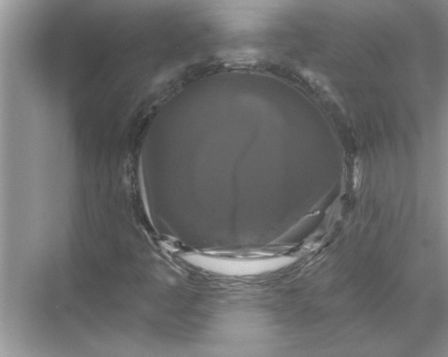X0000067881445200605041821