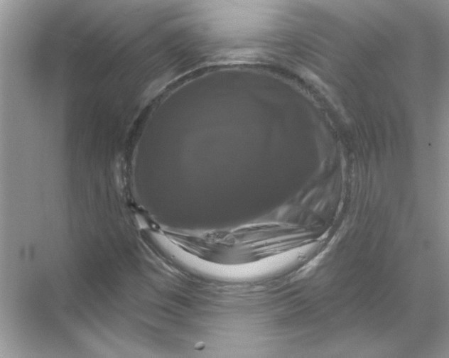 X0000067881449200605041821