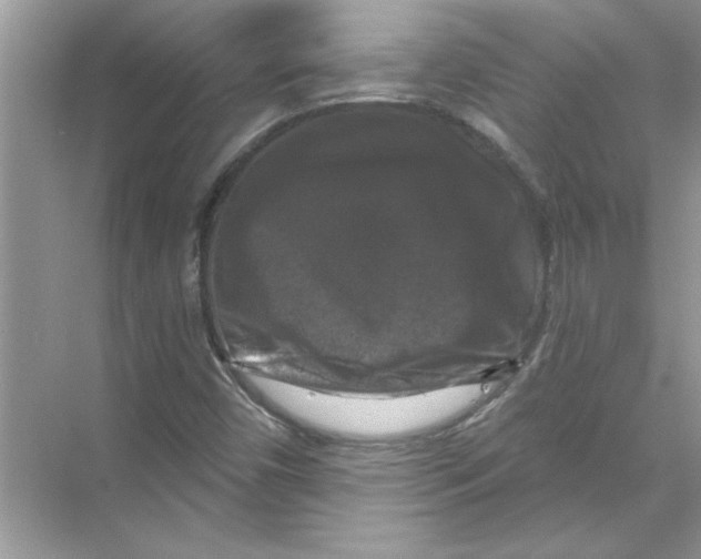 X0000067881450200605041821