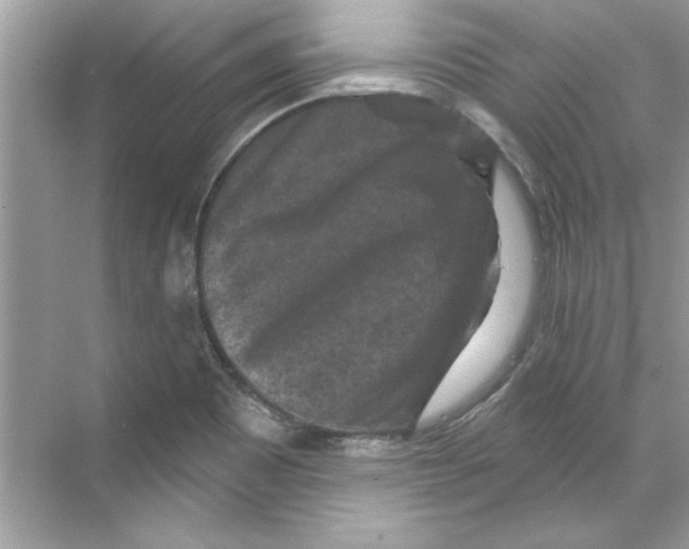 X0000067881465200605041821