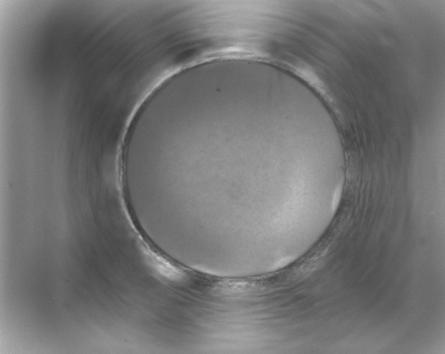 X0000067881474200605041821