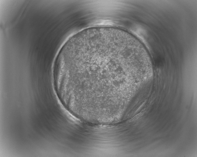 X0000067881475200605041821